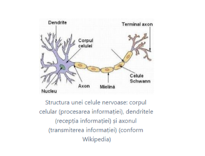image-20230213-104847.png