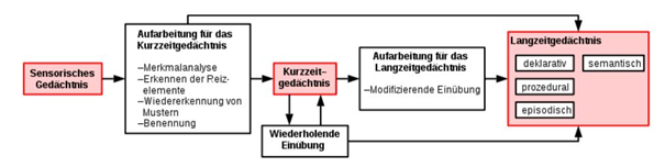grafik-20210524-165555.png