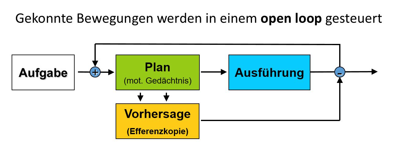 grafik-20210218-120819.png