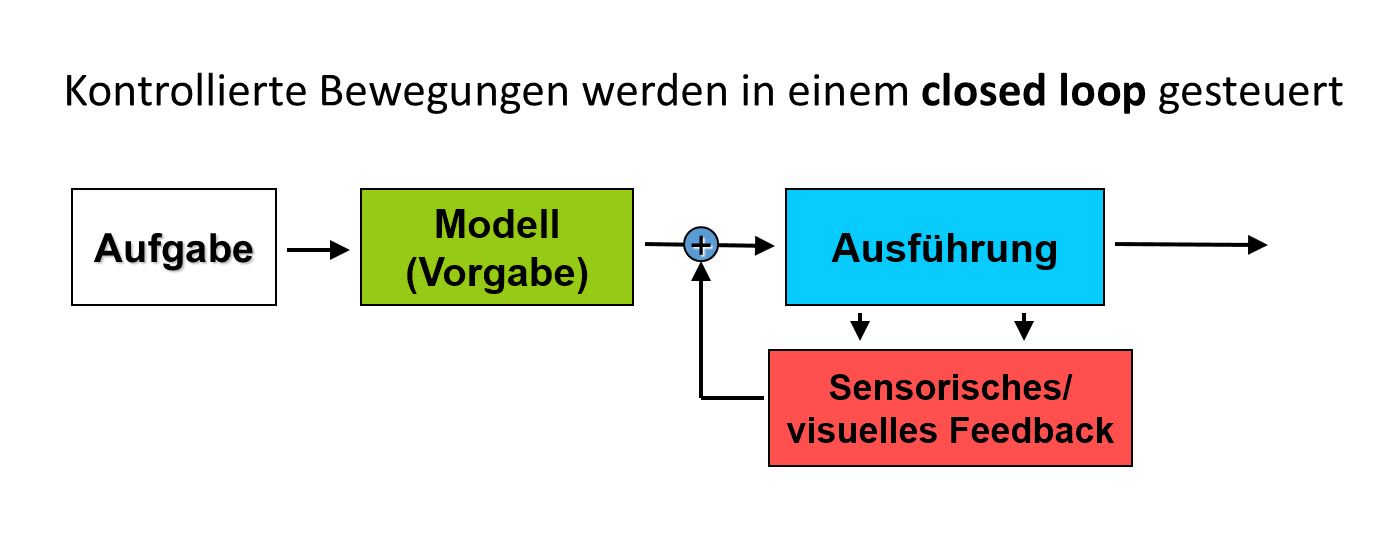 grafik-20210218-120736.png