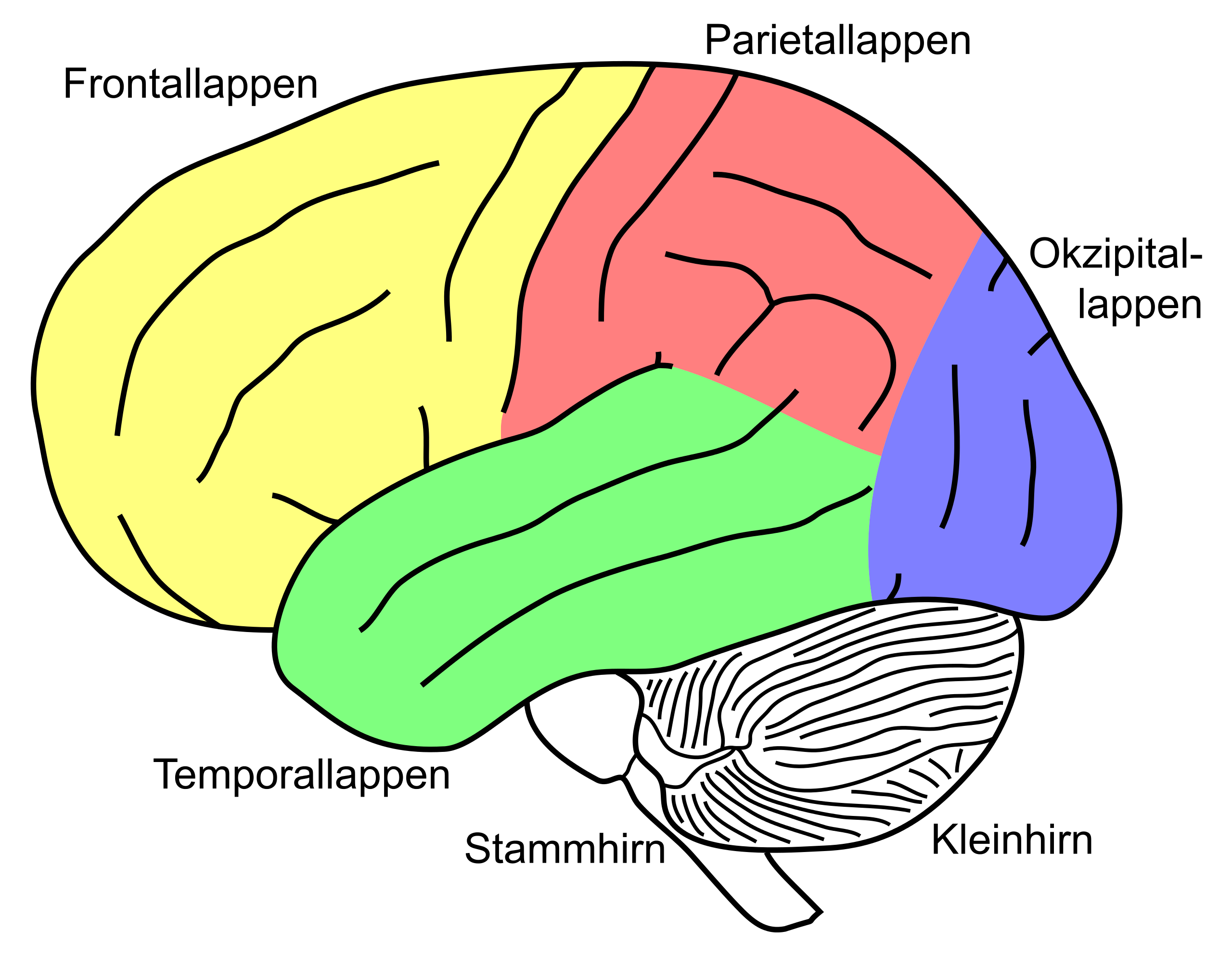 image-20230529-113701.png