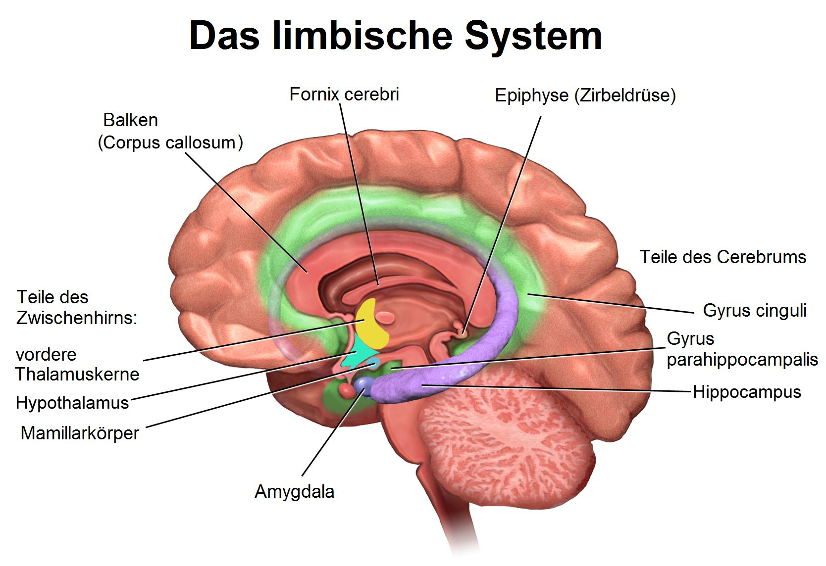 image-20230529-113536.png