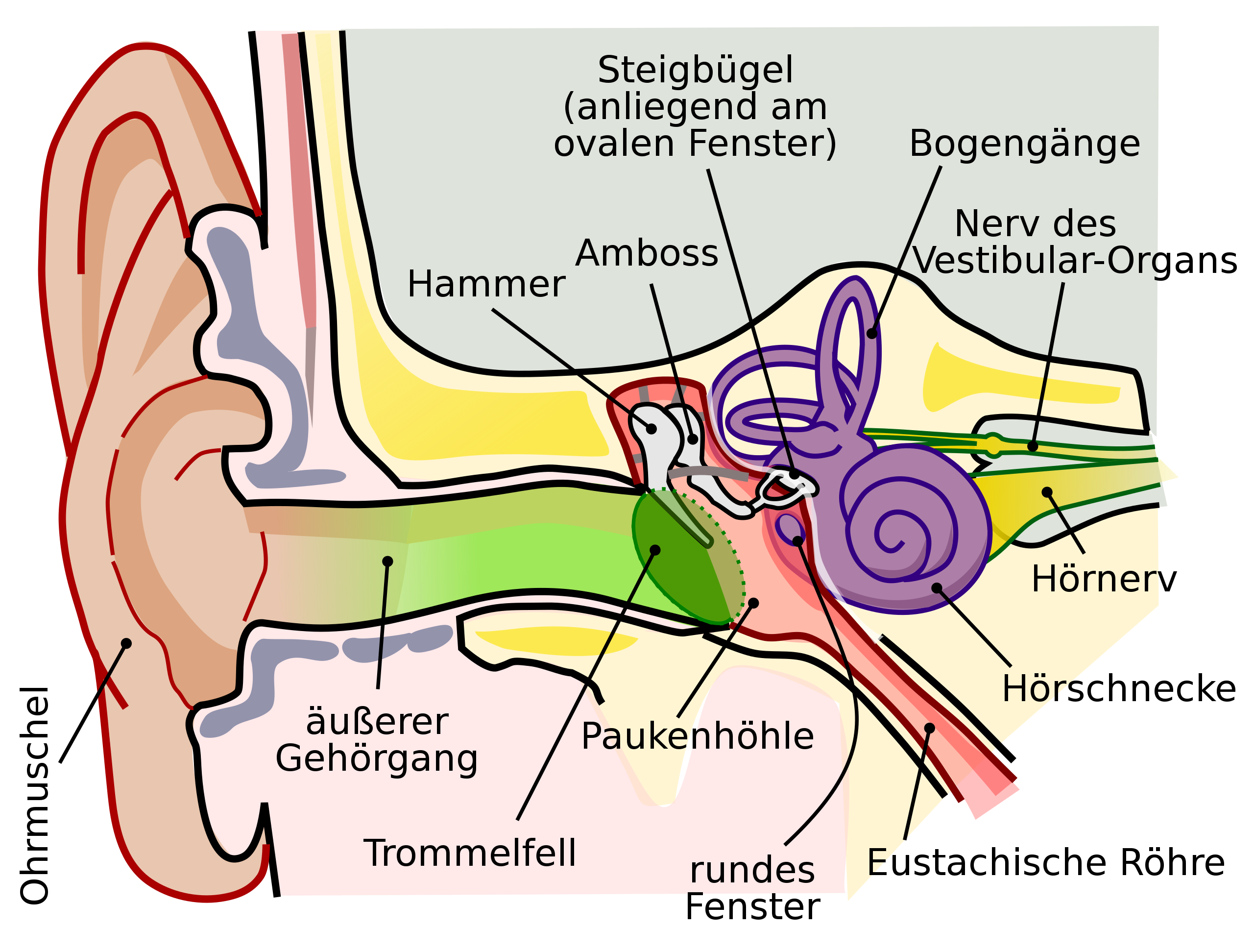 image-20230529-124053.png