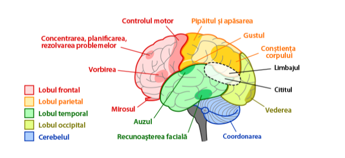 image-20230213-104711.png